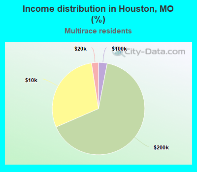 Income distribution in Houston, MO (%)