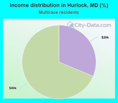 Income distribution in Hurlock, MD (%)