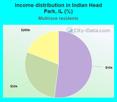 Income distribution in Indian Head Park, IL (%)