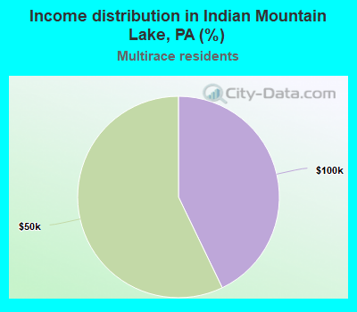 Income distribution in Indian Mountain Lake, PA (%)