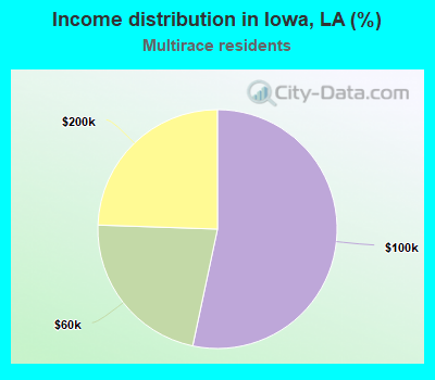 Income distribution in Iowa, LA (%)