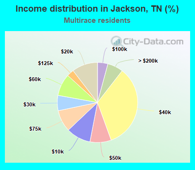 Income distribution in Jackson, TN (%)