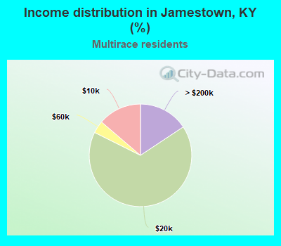 Income distribution in Jamestown, KY (%)