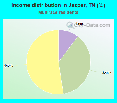 Income distribution in Jasper, TN (%)