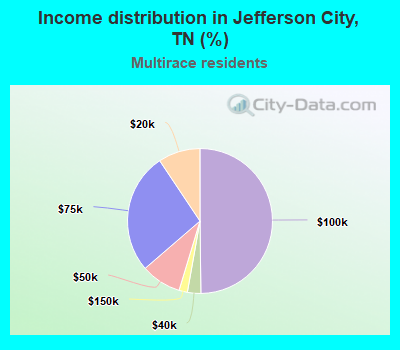 Income distribution in Jefferson City, TN (%)
