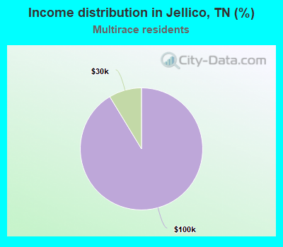 Income distribution in Jellico, TN (%)