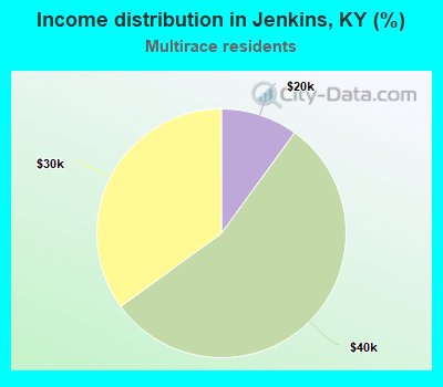 Income distribution in Jenkins, KY (%)