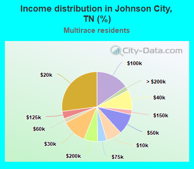 Income distribution in Johnson City, TN (%)