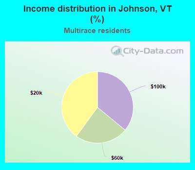 Income distribution in Johnson, VT (%)