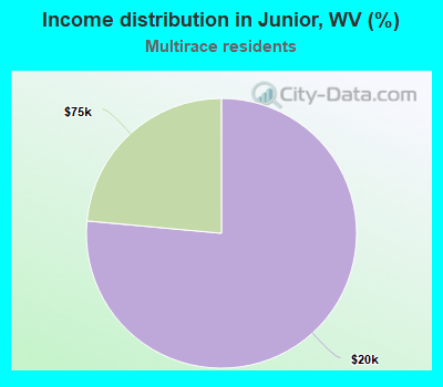 Income distribution in Junior, WV (%)