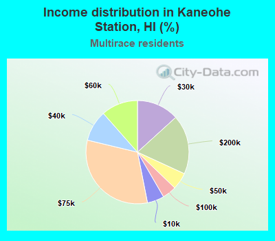 Income distribution in Kaneohe Station, HI (%)
