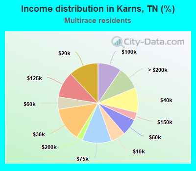 Income distribution in Karns, TN (%)