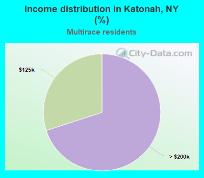 Income distribution in Katonah, NY (%)