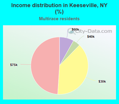 Income distribution in Keeseville, NY (%)