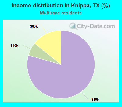 Income distribution in Knippa, TX (%)
