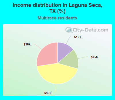 Income distribution in Laguna Seca, TX (%)