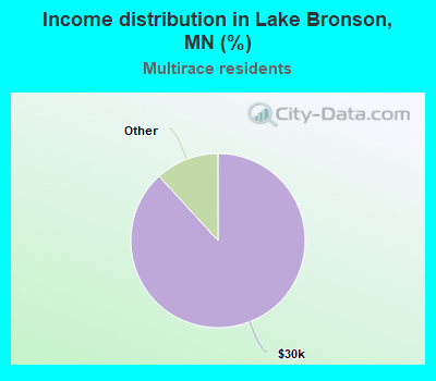 Income distribution in Lake Bronson, MN (%)