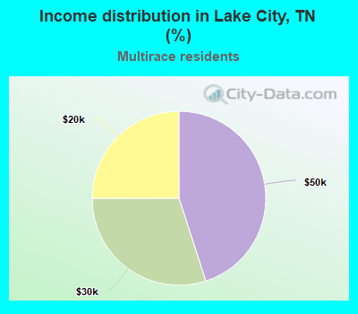 Income distribution in Lake City, TN (%)