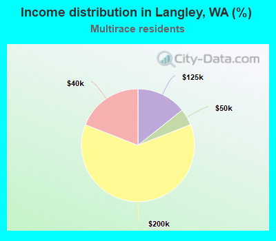 Income distribution in Langley, WA (%)