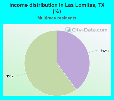 Income distribution in Las Lomitas, TX (%)
