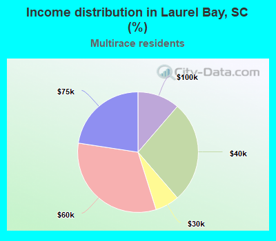 Income distribution in Laurel Bay, SC (%)