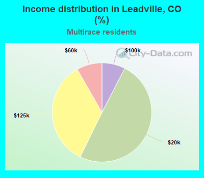 Income distribution in Leadville, CO (%)
