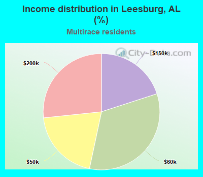 Income distribution in Leesburg, AL (%)