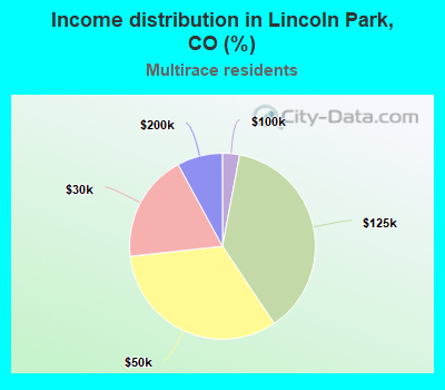 Income distribution in Lincoln Park, CO (%)