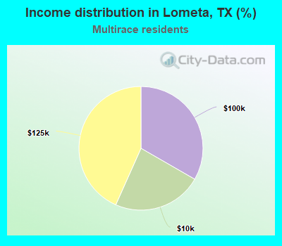 Income distribution in Lometa, TX (%)