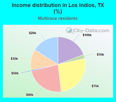 Income distribution in Los Indios, TX (%)