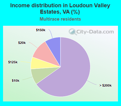 Income distribution in Loudoun Valley Estates, VA (%)