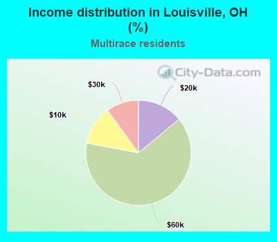Income distribution in Louisville, OH (%)