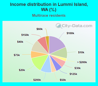 Income distribution in Lummi Island, WA (%)