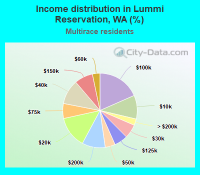 Income distribution in Lummi Reservation, WA (%)