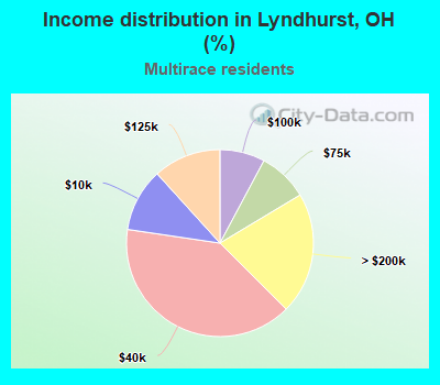 Income distribution in Lyndhurst, OH (%)