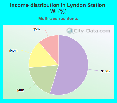 Income distribution in Lyndon Station, WI (%)