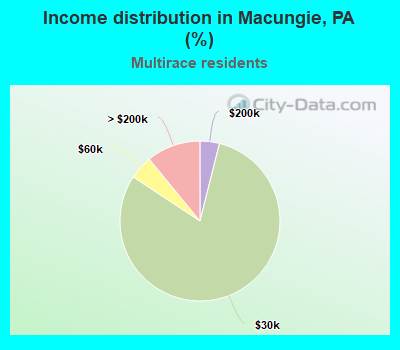 Income distribution in Macungie, PA (%)