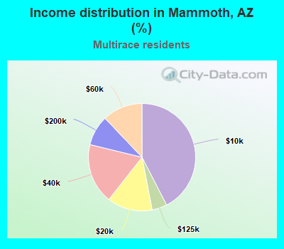 Income distribution in Mammoth, AZ (%)