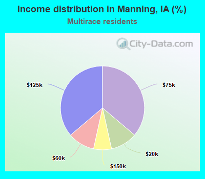 Income distribution in Manning, IA (%)