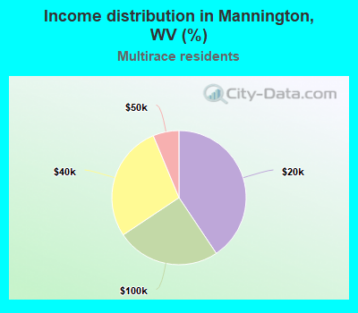 Income distribution in Mannington, WV (%)