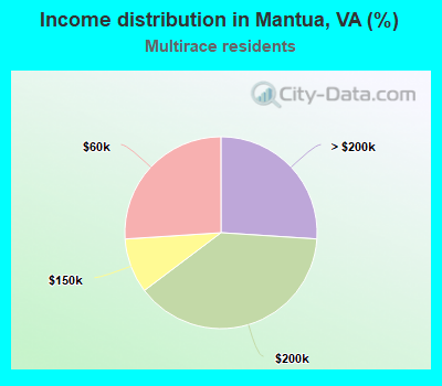 Income distribution in Mantua, VA (%)