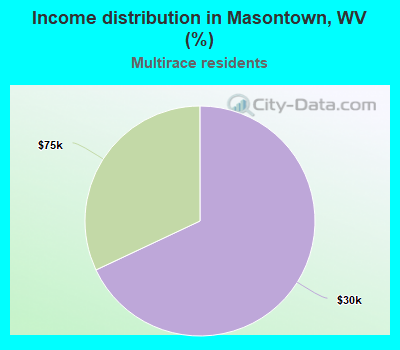 Income distribution in Masontown, WV (%)