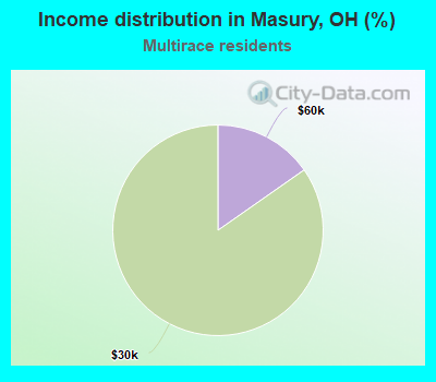 Income distribution in Masury, OH (%)