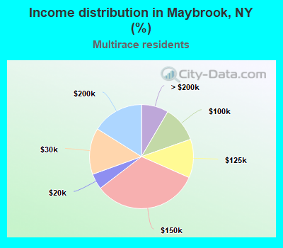 Income distribution in Maybrook, NY (%)
