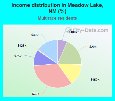 Income distribution in Meadow Lake, NM (%)