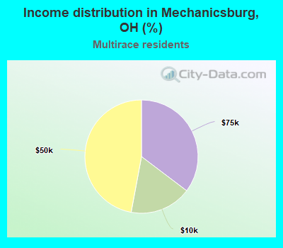Income distribution in Mechanicsburg, OH (%)