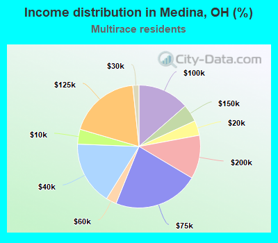 Income distribution in Medina, OH (%)