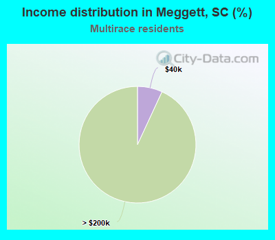 Income distribution in Meggett, SC (%)