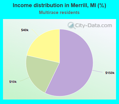 Income distribution in Merrill, MI (%)