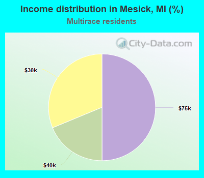 Income distribution in Mesick, MI (%)